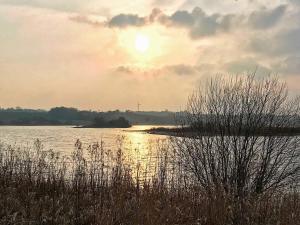 Příroda nedaleko prázdninového domu + 15 fotografií