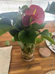 Φωτογραφία από το άλμπουμ του Soulful healing academy σε Point Cook