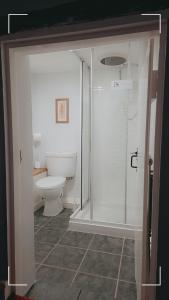 un baño con ducha y WC en The Horse and Groom Guest House, en Swaffham