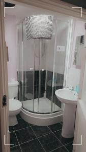 Un baño con ducha, inodoro y lavabo. en The Horse and Groom Guest House, en Swaffham