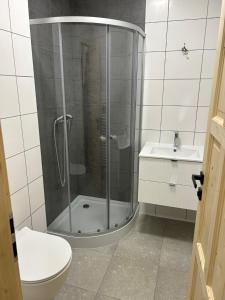 een badkamer met een douche, toilet en wastafel bij Harrachovský Chalet u sjezdovky 