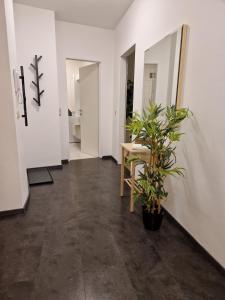 Φωτογραφία από το άλμπουμ του Schwanenstadt Apartment,nice quiet surroundings ! σε Schwanenstadt +3 φωτογραφίες