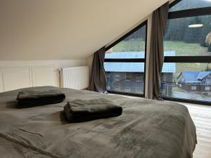 een slaapkamer met twee kussens op een bed met een groot raam bij Harrachovský Chalet u sjezdovky 