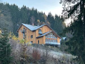 een groot houten huis op een heuvel met bomen bij Harrachovský Chalet u sjezdovky 