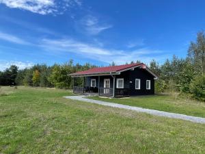 a small black house with a red roof in a field at Safarilodge am Bärwalder See in Klein Uhyst +17 photos