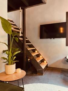 布鲁日Tiny House The Bird House的客厅里的一个楼梯,有盆栽植物