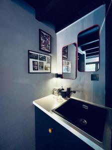 un baño con lavabo y espejo en Tiny House The Bird House, en Brujas 25 fotos más