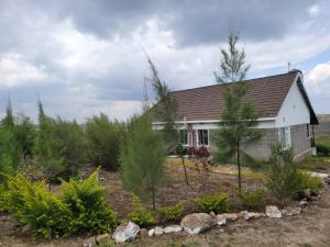 una casa con árboles y plantas delante de ella en Rockview Cabins - Kajiado, en Kajiado