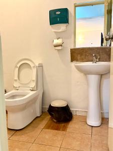 a bathroom with a toilet and a sink at Emeli Hotel Luxury Suites in Nairobi
