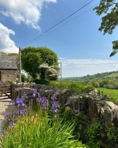 a garden with purple flowers in front of a stone wall at Tregolls Farm Cottages in Wadebridge +18 photos