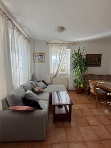 a living room with a couch and a table at Apartments and Rooms With View on Bled in Bled