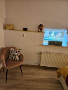 een woonkamer met een stoel en een raam bij Hoeve de Haan in Bellingwolde