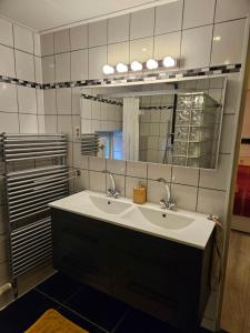 een badkamer met een wastafel en een spiegel bij Hoeve de Haan in Bellingwolde