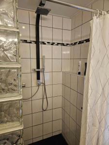 een badkamer met een douche met een douchegordijn bij Hoeve de Haan in Bellingwolde