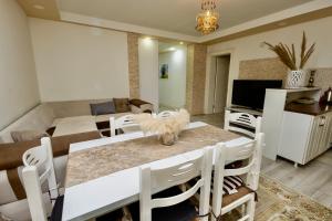een keuken en woonkamer met een tafel en stoelen bij LuxuryHomeUlcinj in Ulcinj +12 foto's