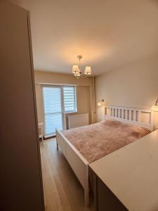 a bedroom with a large bed and a window at Apartament ultracentral in Craiova
