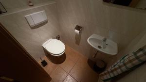 een badkamer met toilet en wastafel bij Haus Sonnbichl Top 3 in Krimml +12 foto's