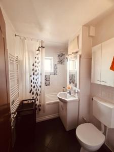 Ένα μπάνιο στο Apartament ultracentral Botanica