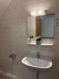 a bathroom with a sink and a mirror at Gasthof Wilhelm Tell bei Anna in Zirndorf +7 photos