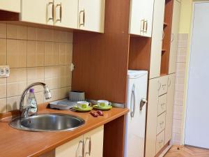 Η κουζίνα ή μικρή κουζίνα στο Zen Studio Apartman Banja Luka