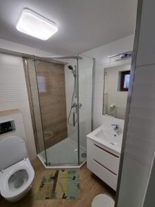 Un baño con ducha, inodoro y lavabo. en Willa Słoneczko, en Duszniki-Zdrój