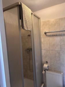 a bathroom with a shower with a glass door at Zapfwerk-Rooms in Großbeeren
