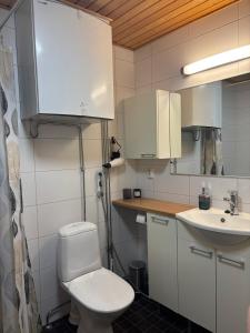 a small bathroom with a toilet and a sink at Cozy two-room apartment in the center of Rovaniemi in Rovaniemi +6 photos