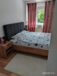 ドボイにあるLux Stan na danのベッドと窓のある寝室