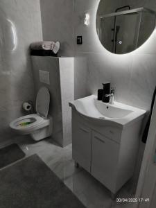 ドボイにあるLux Stan na danの洗面台、トイレ、鏡のあるバスルーム