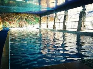 乔克-塔尔Гостевой дом Алтын Булун - Golden Bay на Иссык-Куле的水池,桥上方