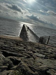 a person standing on the edge of the ocean at Backboard in Tossens +2 photos