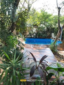 een tuin met een zwembad en een aantal planten bij Lo de Alicia in Candelaria +19 foto's