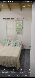 een bed met 2 kussens in een kamer met een raam bij Lo de Alicia in Candelaria