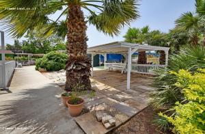 a palm tree and a pavilion with a palm tree at הבקתה הגלילית in Arbel