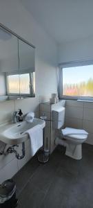 a bathroom with a toilet and a sink and a mirror at Storch Appartements Limburg in Hundsangen +2 photos