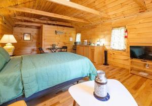 TV a/nebo společenská místnost v ubytování GGgs Cabin