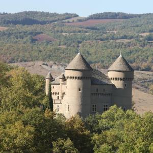 Rivière-sur-TarnにあるChateau de Lugagnacの木々の丘の上の城