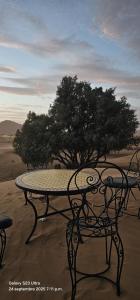 a bench sitting in the desert with a tree at DesertGlow camp in Merzouga