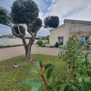 Zahrada ubytování Villa MelVin