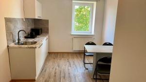 a kitchen with a sink and a table with chairs at Hoa Xuan Pension in Rötha