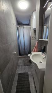 a small bathroom with a sink and a shower at Bijeljina Central in Bijeljina