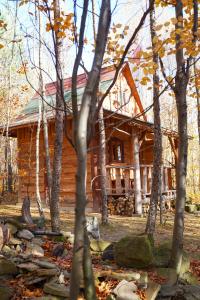 a log cabin in the woods with trees at Domek Baby Jagi Prawdziwy Survival 