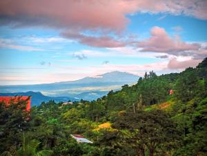 a view of a mountain in the distance with trees at Roots Casa Rústica in Valle Hornito