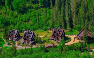 an overhead view of a group of houses in a forest at Tsarynka Eco Complex in Slavske