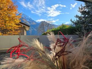 een tuin met uitzicht op een berg bij Appartamento con Biliardo Privato Patio e Parcheggio Aosta in Aosta