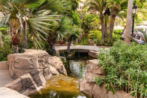 a pond in a garden with palm trees and rocks at Europe Villa Cortes GL in Playa de las Americas