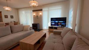 Μια τηλεόραση ή/και κέντρο ψυχαγωγίας στο Royal Vila Negotin - Private Parking, Garden and Terrace +17 φωτογραφίες