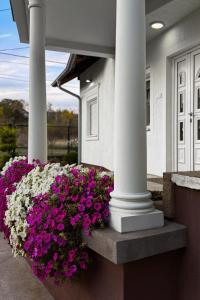 Κήπος έξω από το Royal Vila Negotin - Private Parking, Garden and Terrace