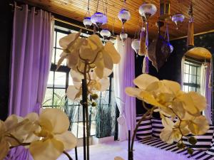 Φωτογραφία από το άλμπουμ του PJURE Boutique Hotel & Spa σε Montagu +56 φωτογραφίες