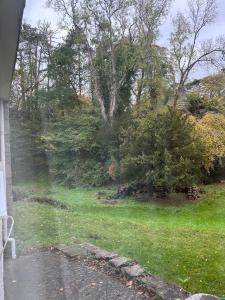 a view from a window of a yard with trees at Spacious apartment in Leigh woods in Bristol